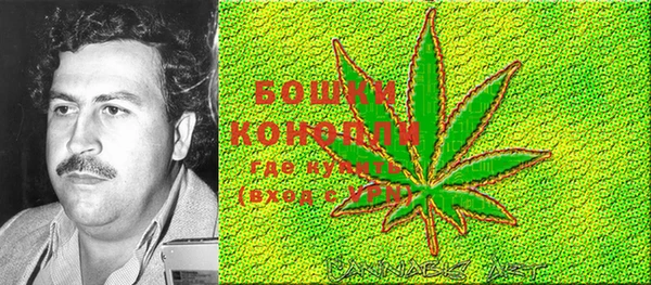 прущие крисы Баксан