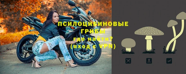 прущие крисы Баксан