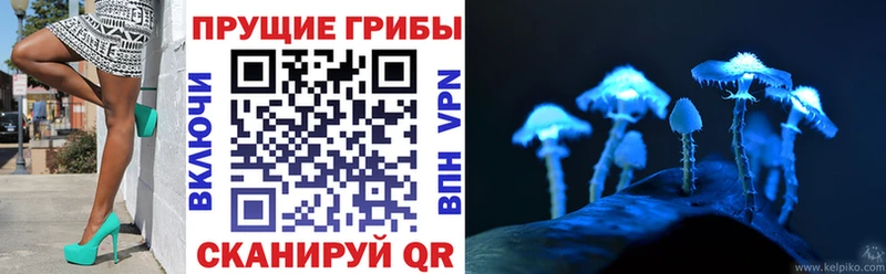 где продают наркотики  Луховицы  Галлюциногенные грибы MAGIC MUSHROOMS 